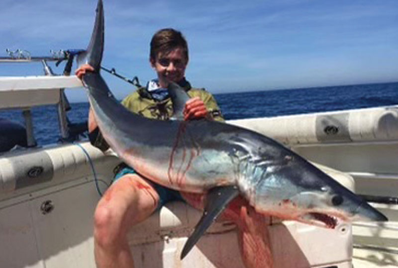 mako shark fishing oreely