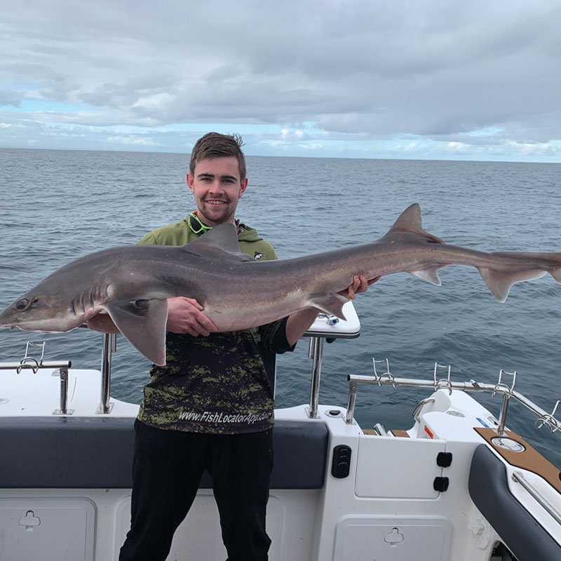 gummy shark fishing guide