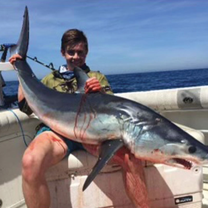 mako shark fishing guide