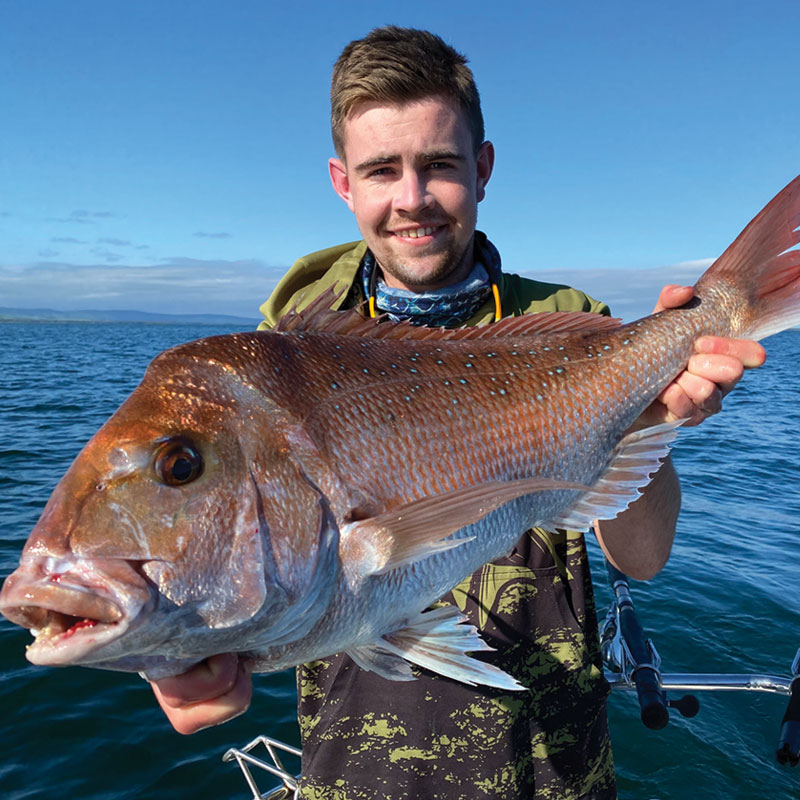 snapper fishing guide oreely